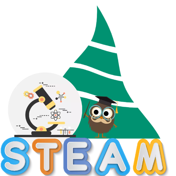 Steam veikla